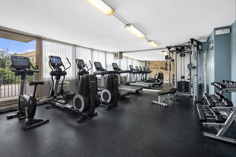 the gym is equipped with cardio equipment and weights